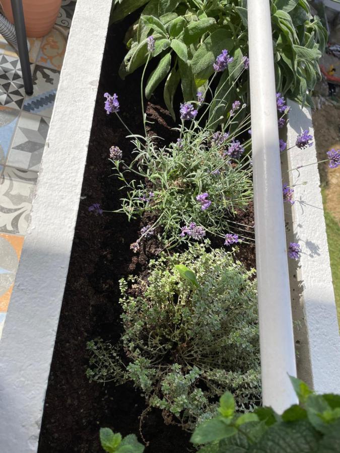 Family Home Koper Bagian luar foto